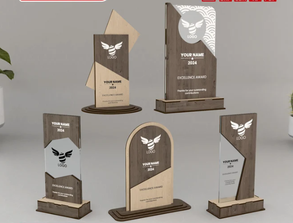 Reconocimientos de Acrílico y Madera – Premios Personalizados